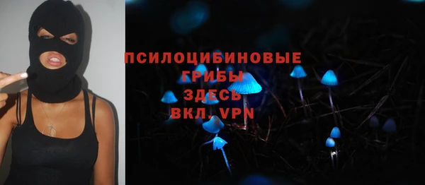 дмт Абинск