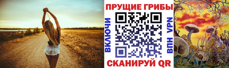 Псилоцибиновые грибы MAGIC MUSHROOMS  Нижний Новгород 